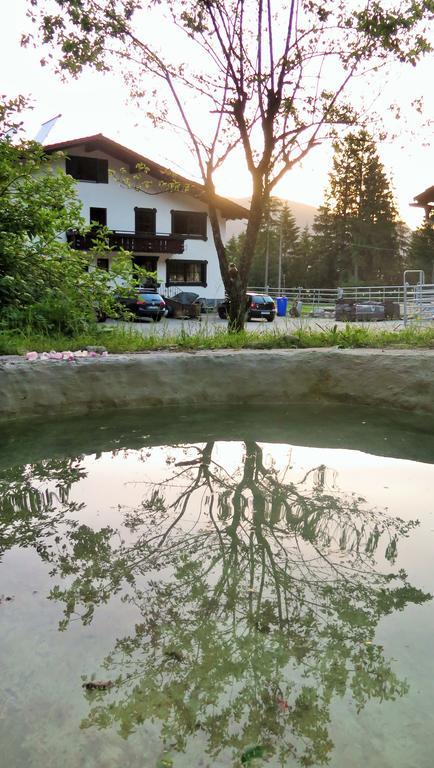 Dreimaederlhaus Am Berg Lejlighed Pfronten Værelse billede